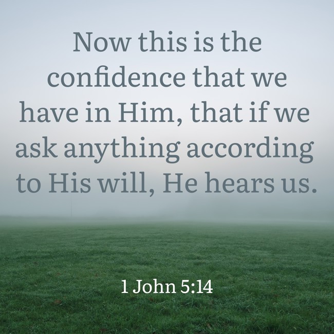 Now this is the confidence that we have in Him, that if we ask anything according to His will, He hears us.   - 1 John 5:14 