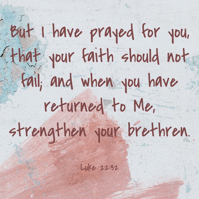  But I have prayed for you, that your faith should not fail; and when you have returned to Me, strengthen your brethren.   - Luke 22:32 