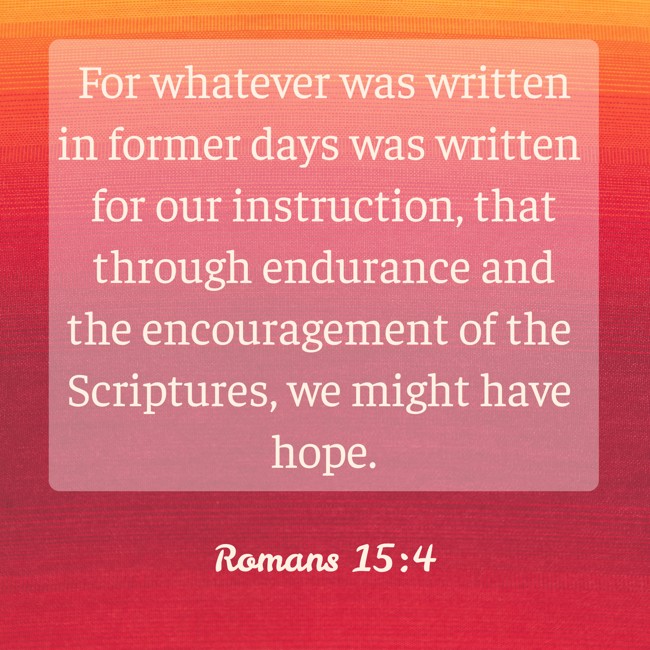  For whatever was written in former days was written for our instruction, that through endurance and the encouragement of the Scriptures, we might have hope.   - Romans 15:4 