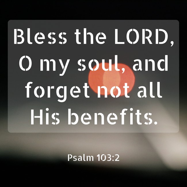  Bless the LORD, O my soul, and forget not all His benefits.   - Psalm 103:2 
