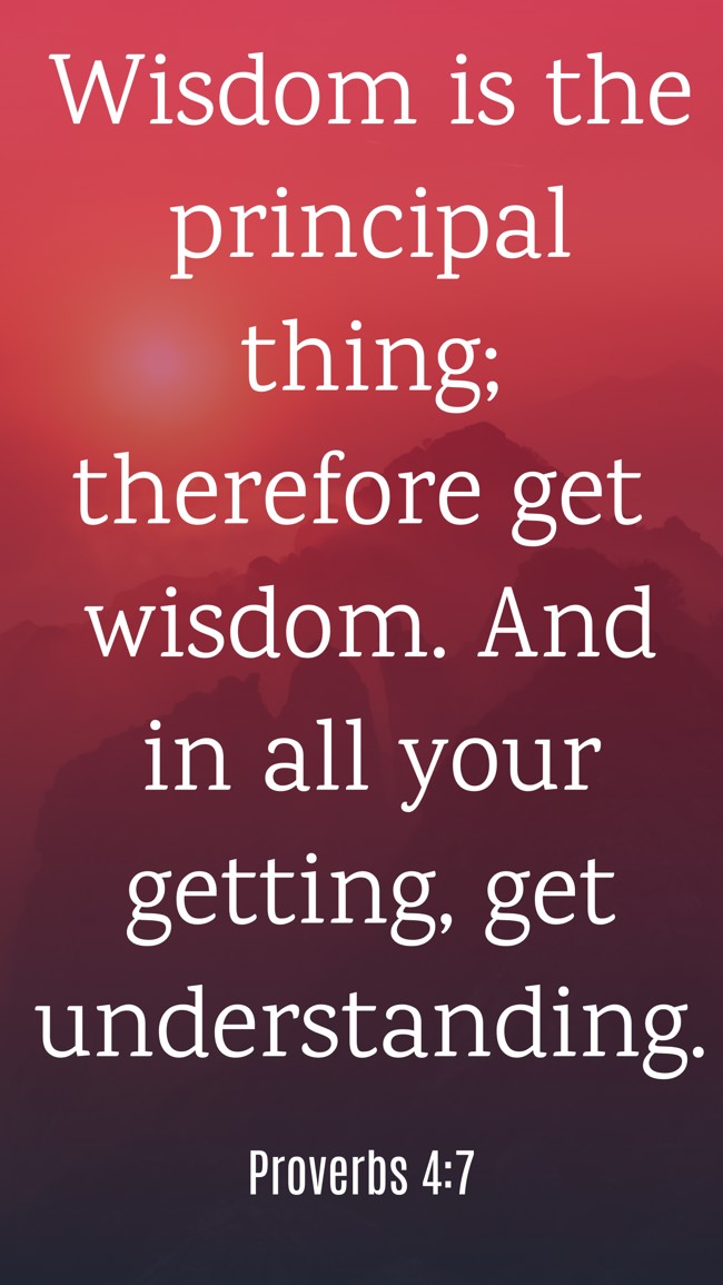  Wisdom is the principal thing; therefore get wisdom. And in all your getting, get understanding.   - Proverbs 4:7 