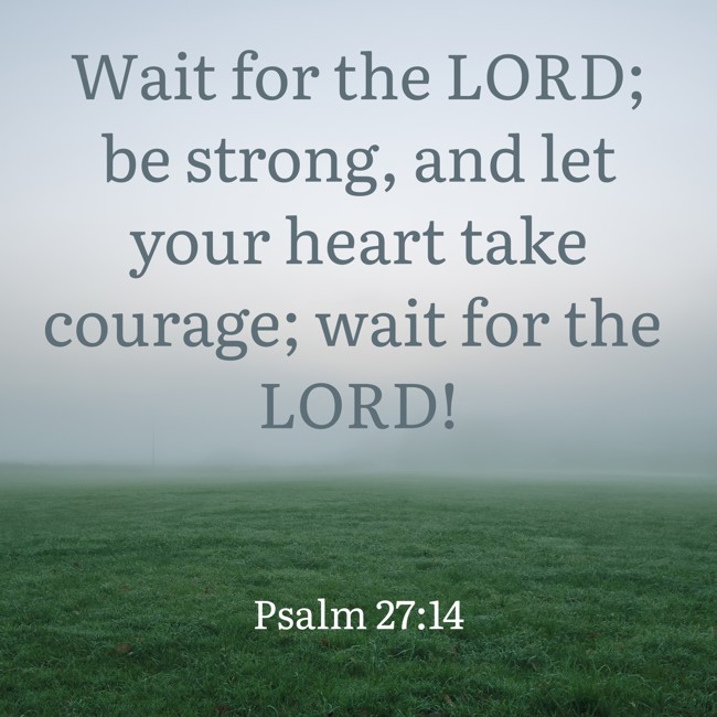  Wait for the LORD; be strong, and let your heart take courage; wait for the LORD!   - Psalm 27:14 