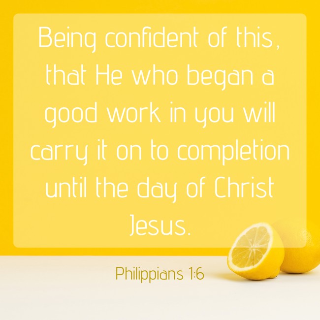  Being confident of this, that He who began a good work in you will carry it on to completion until the day of Christ Jesus.   - Philippians 1:6 
