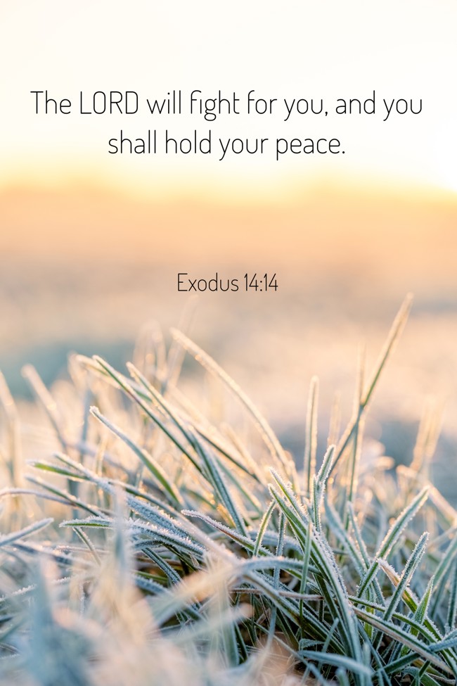  The LORD will fight for you, and you shall hold your peace.   - Exodus 14:14 