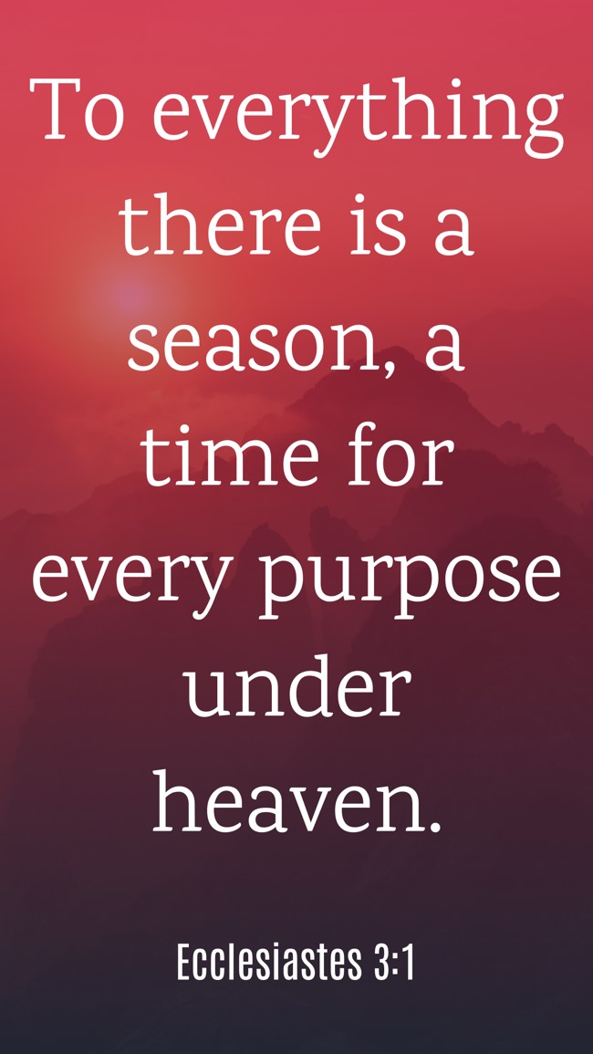  To everything there is a season, a time for every purpose under heaven.   - Ecclesiastes 3:1 