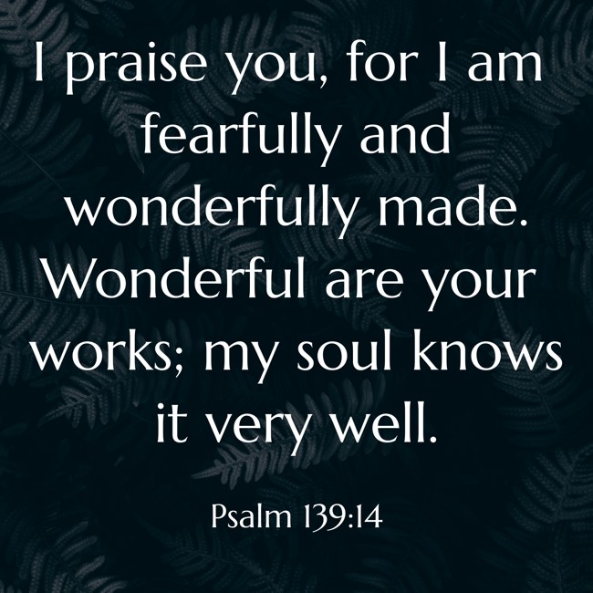 I praise you, for I am fearfully and wonderfully made. Wonderful are your works; my soul knows it very well. - Psalm 139:14