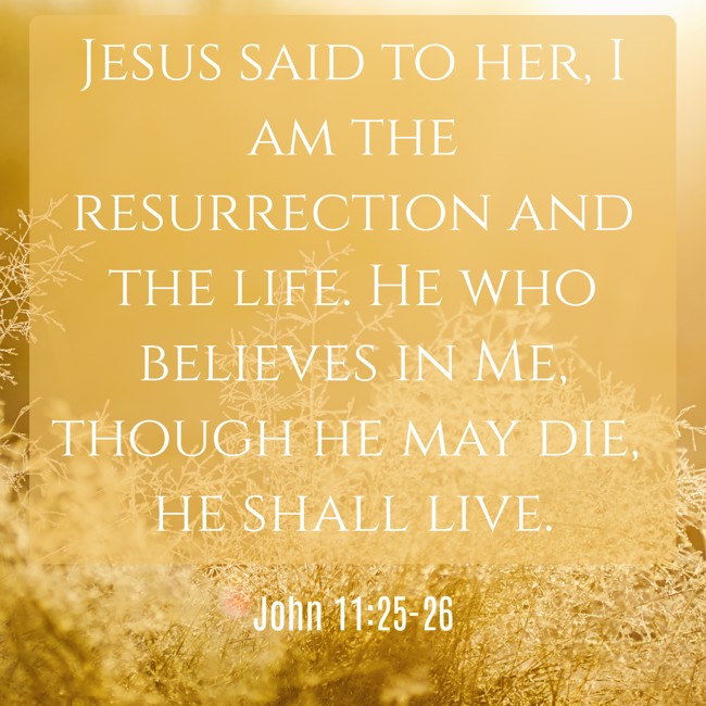 Jesus said to her, I am the resurrection and the life. He who believes in Me, though he may die, he shall live. - John 11:25-26