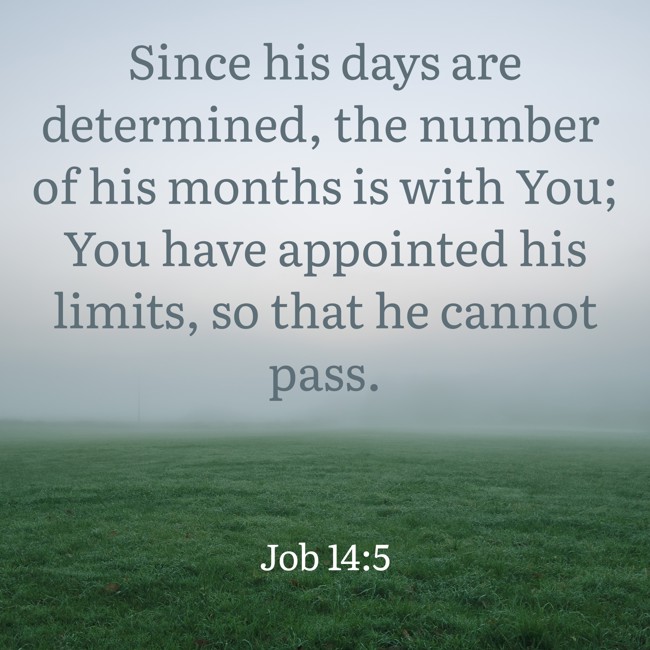 Since his days are determined, the number of his months is with You; You have appointed his limits, so that he cannot pass. - Job 14:5