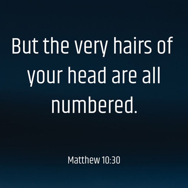 But the very hairs of your head are all numbered. - Matthew 10:30