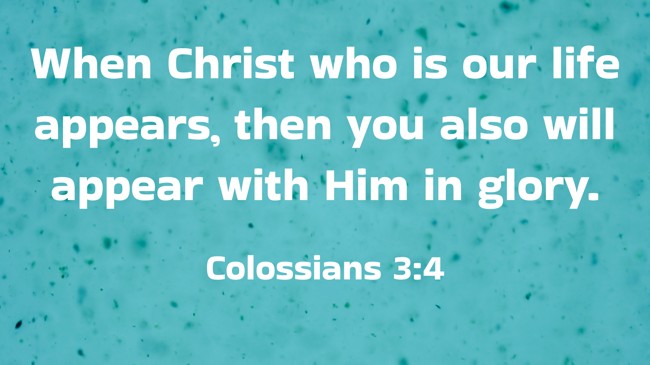 When Christ who is our life appears, then you also will appear with Him in glory. - Colossians 3:4