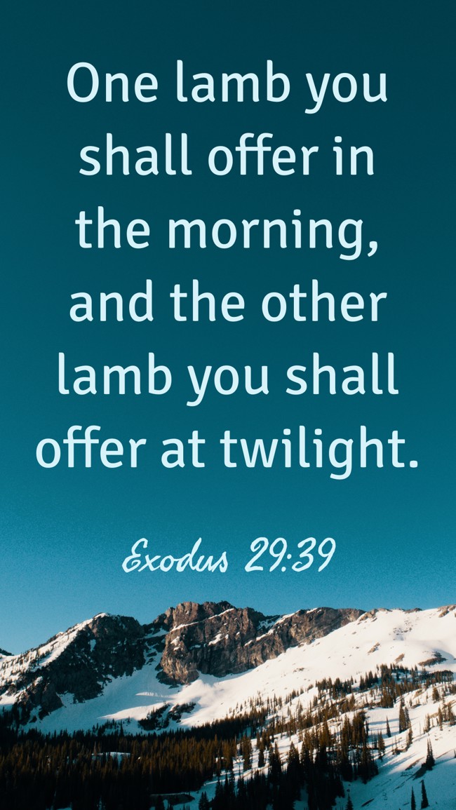 One lamb you shall offer in the morning, and the other lamb you shall offer at twilight. - Exodus 29:39
