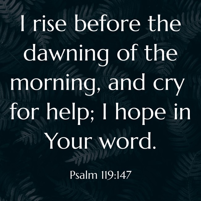 I rise before the dawning of the morning, and cry for help; I hope in Your word. - Psalm 119:147