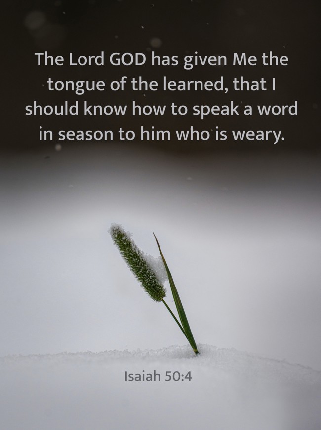 The Lord GOD has given Me the tongue of the learned, that I should know how to speak a word in season to him who is weary. - Isaiah 50:4