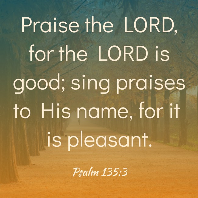 Praise the LORD, for the LORD is good; sing praises to His name, for it is pleasant. - Psalm 135:3