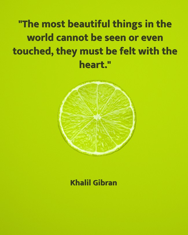 The most beautiful things in the world cannot be seen or even touched, they must be felt with the heart. - Khalil Gibran
