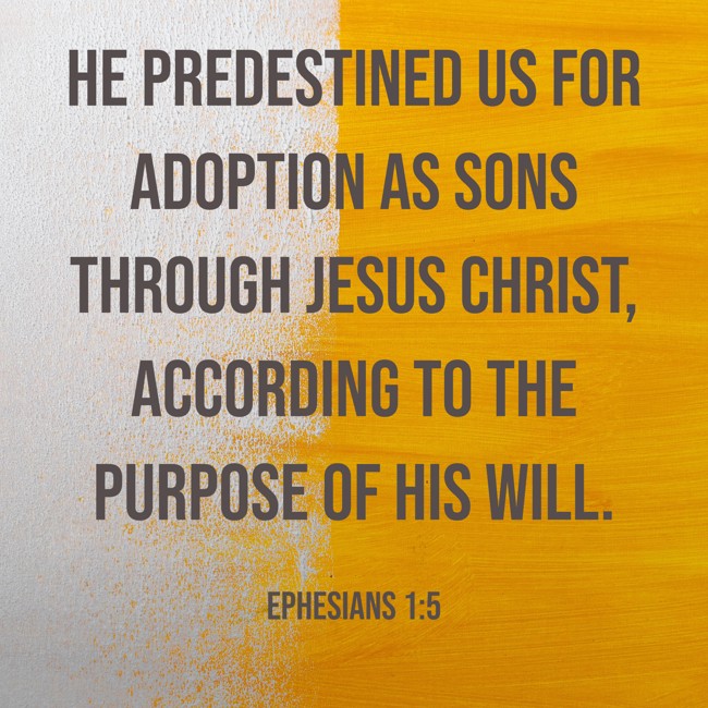 He predestined us for adoption as sons through Jesus Christ, according to the purpose of his will. - Ephesians 1:5