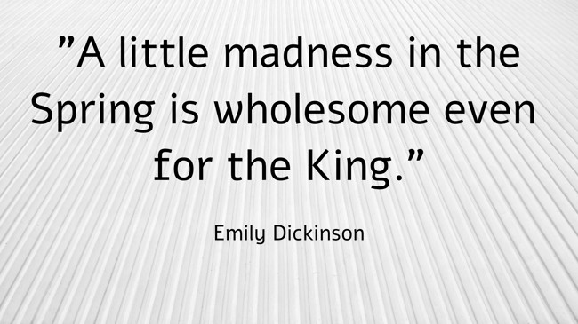 A little madness in the Spring is wholesome even for the King. - Emily Dickinson