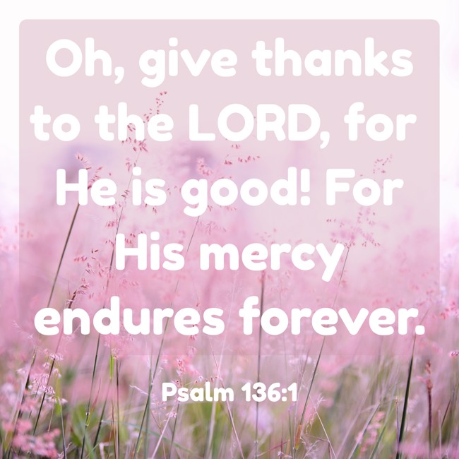 Oh, give thanks to the LORD, for He is good! For His mercy endures forever. - Psalm 136:1