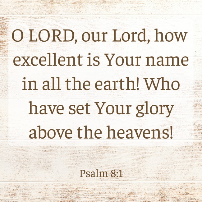 O LORD, our Lord, how excellent is Your name in all the earth! Who have set Your glory above the heavens! - Psalm 8:1