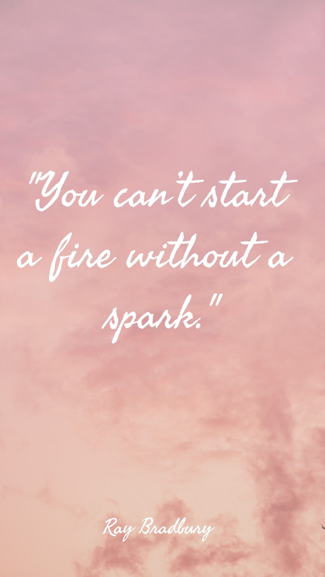 You can’t start a fire without a spark. - Ray Bradbury