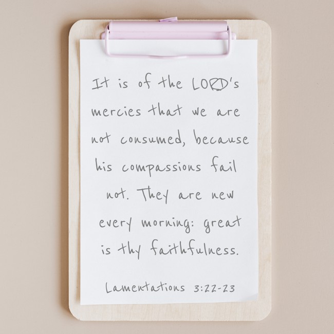 It is of the LORD's mercies that we are not consumed, because his compassions fail not. They are new every morning: great is thy faithfulness. - Lamentations 3:22-23