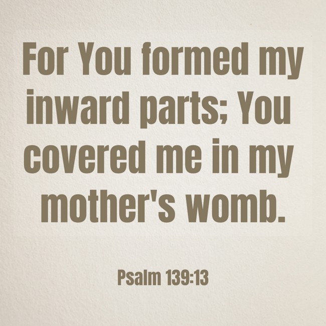 For You formed my inward parts; You covered me in my mother's womb. - Psalm 139:13