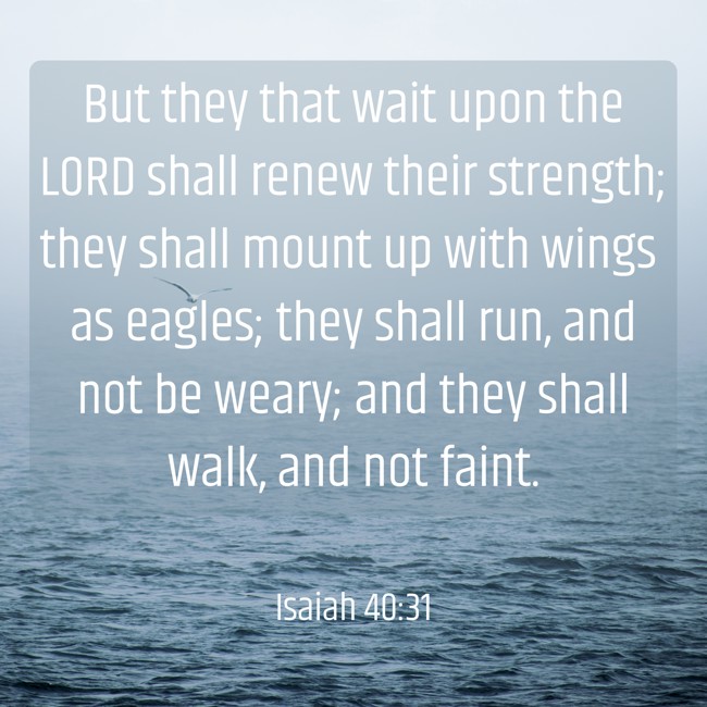 But they that wait upon the LORD shall renew their strength; they shall mount up with wings as eagles; they shall run, and not be weary; and they shall walk, and not faint. - Isaiah 40:31