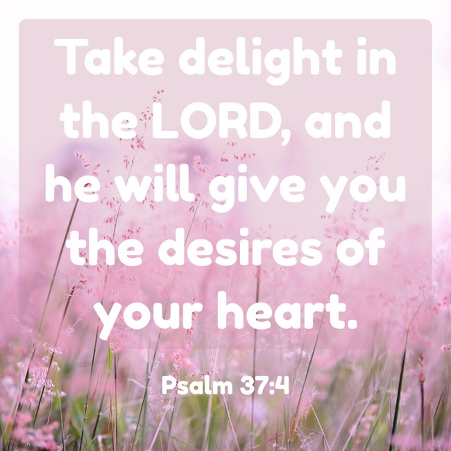 Take delight in the LORD, and he will give you the desires of your heart. - Psalm 37:4