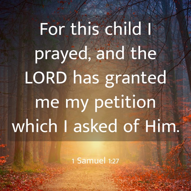  For this child I prayed, and the LORD has granted me my petition which I asked of Him.   - 1 Samuel 1:27 