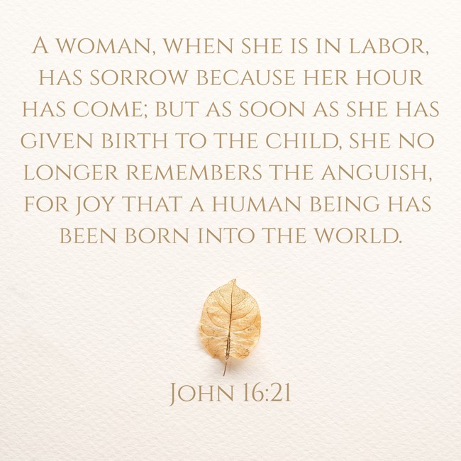  A woman, when she is in labor, has sorrow because her hour has come; but as soon as she has given birth to the child, she no longer remembers the anguish, for joy that a human being has been born into the world.   - John 16:21 