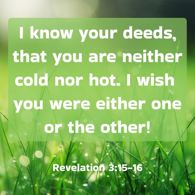 I know your deeds, that you are neither cold nor hot. I wish you were either one or the other! - Revelation 3:15-16