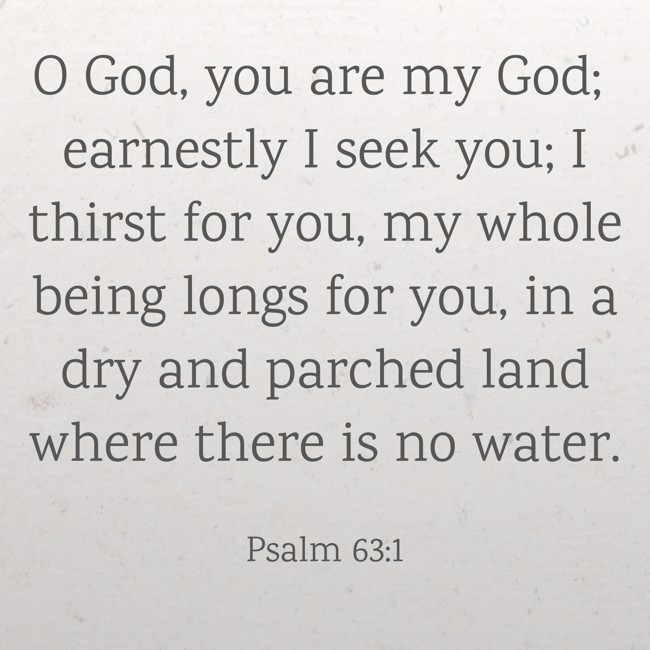 O God, you are my God; earnestly I seek you; I thirst for you, my whole being longs for you, in a dry and parched land where there is no water. - Psalm 63:1