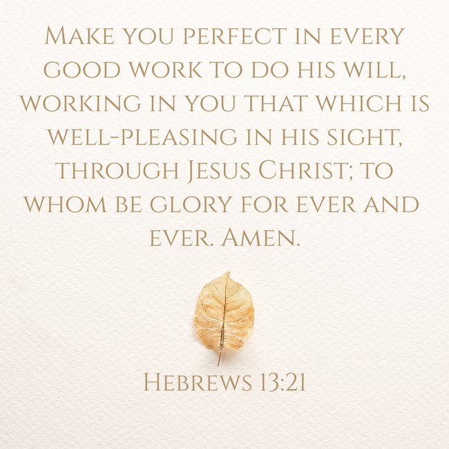 Make you perfect in every good work to do his will, working in you that which is well-pleasing in his sight, through Jesus Christ; to whom be glory for ever and ever. Amen. - Hebrews 13:21