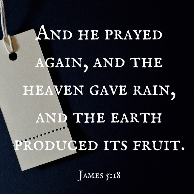 And he prayed again, and the heaven gave rain, and the earth produced its fruit. - James 5:18
