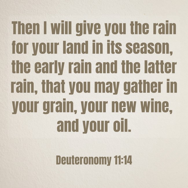 Then I will give you the rain for your land in its season, the early rain and the latter rain, that you may gather in your grain, your new wine, and your oil. - Deuteronomy 11:14