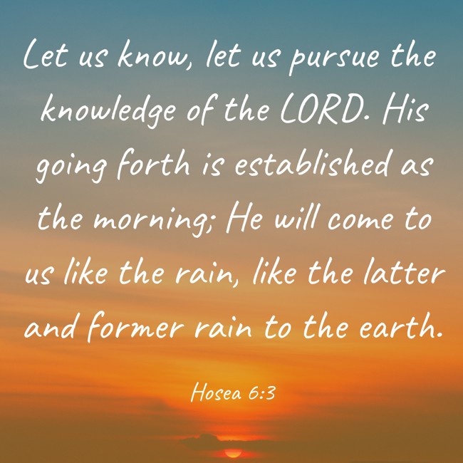 Let us know, let us pursue the knowledge of the LORD. His going forth is established as the morning; He will come to us like the rain, like the latter and former rain to the earth. - Hosea 6:3