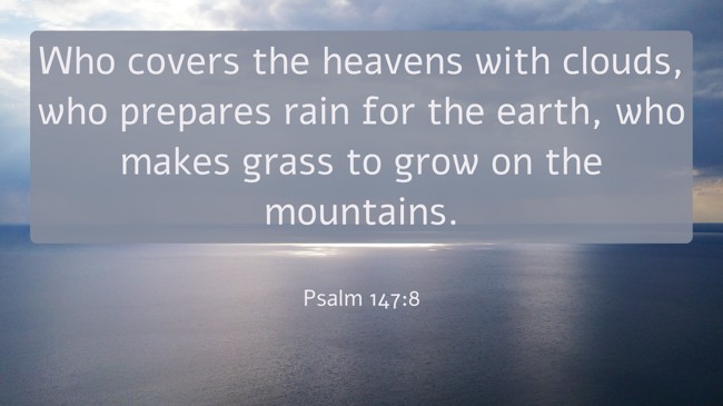 Who covers the heavens with clouds, who prepares rain for the earth, who makes grass to grow on the mountains. - Psalm 147:8