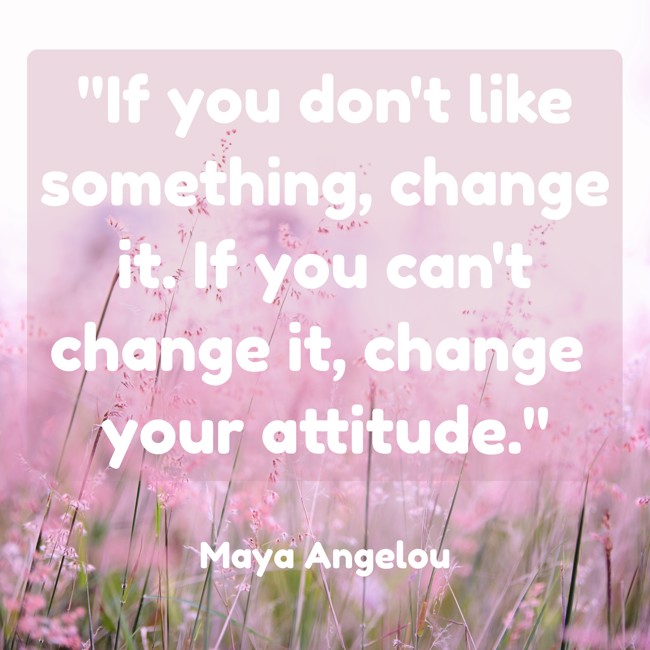 If you don't like something, change it. If you can't change it, change your attitude. - Maya Angelou