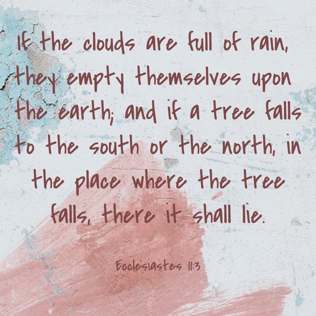 If the clouds are full of rain, they empty themselves upon the earth; and if a tree falls to the south or the north, in the place where the tree falls, there it shall lie. - Ecclesiastes 11:3
