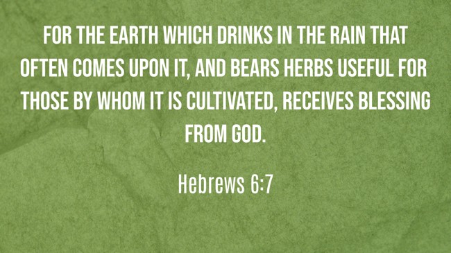 For the earth which drinks in the rain that often comes upon it, and bears herbs useful for those by whom it is cultivated, receives blessing from God. - Hebrews 6:7