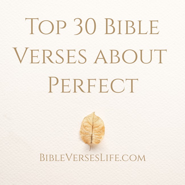Top 30 Bible Verses about Perfect