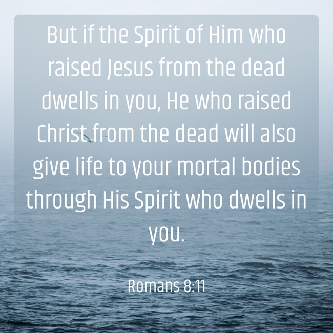 But if the Spirit of Him who raised Jesus from the dead dwells in you, He who raised Christ from the dead will also give life to your mortal bodies through His Spirit who dwells in you. - Romans 8:11