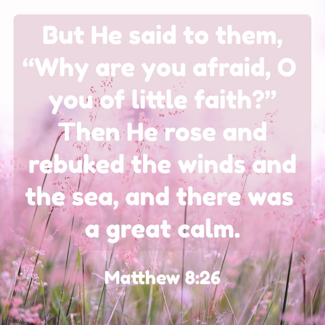 But He said to them, “Why are you afraid, O you of little faith?” Then He rose and rebuked the winds and the sea, and there was a great calm. - Matthew 8:26