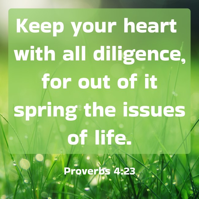 Keep your heart with all diligence, for out of it spring the issues of life. - Proverbs 4:23