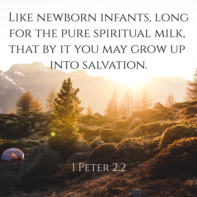 Like newborn infants, long for the pure spiritual milk, that by it you may grow up into salvation. - 1 Peter 2:2