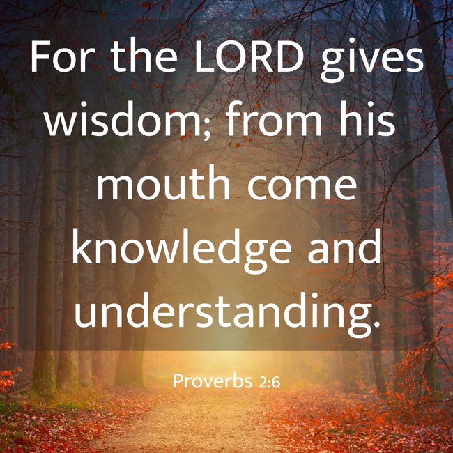 For the LORD gives wisdom; from his mouth come knowledge and understanding. - Proverbs 2:6