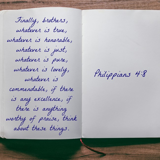 Finally, brothers, whatever is true, whatever is honorable, whatever is just, whatever is pure, whatever is lovely, whatever is commendable, if there is any excellence, if there is anything worthy of praise, think about these things. - Philippians 4:8
