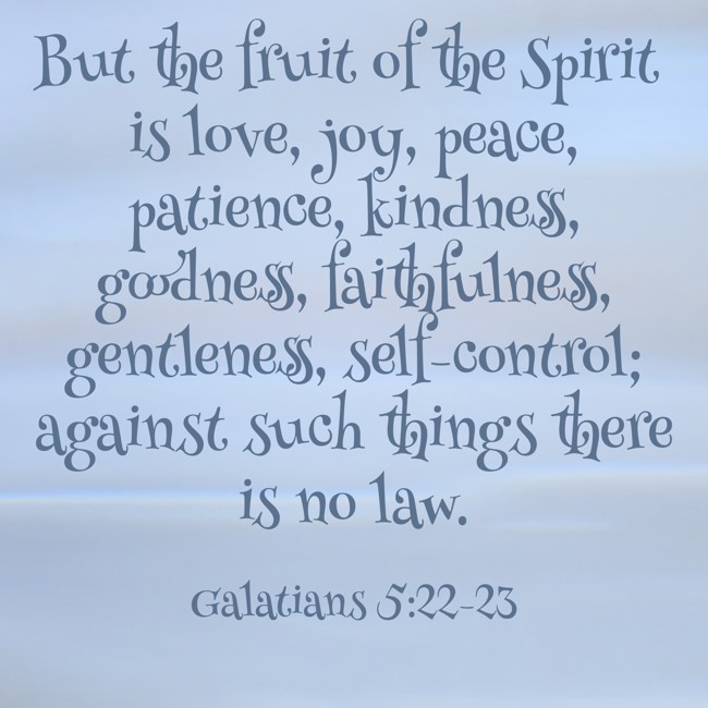 But the fruit of the Spirit is love, joy, peace, patience, kindness, goodness, faithfulness, gentleness, self-control; against such things there is no law. - Galatians 5:22-23