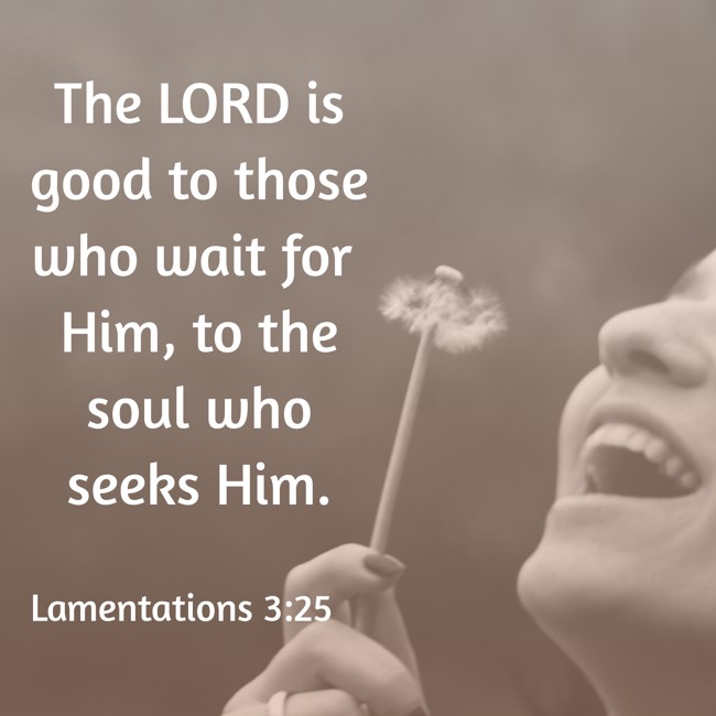 The LORD is good to those who wait for Him, to the soul who seeks Him. - Lamentations 3:25