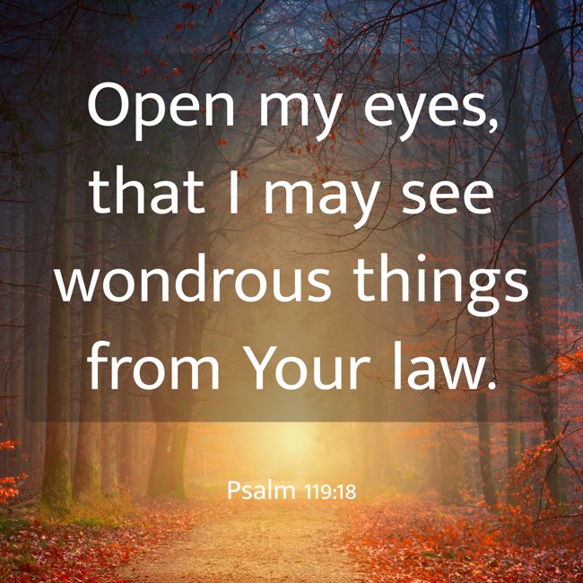 Open my eyes, that I may see wondrous things from Your law. - Psalm 119:18